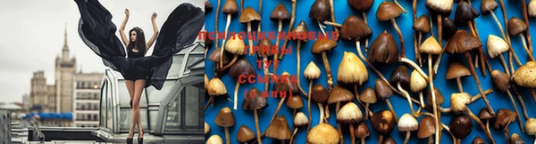 MDMA Premium VHQ Майский