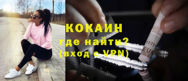 твердый Магас