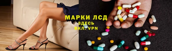 твердый Магас