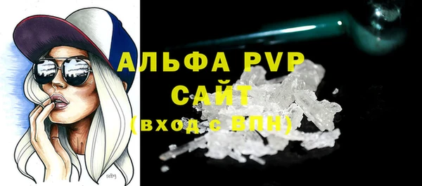 твердый Магас