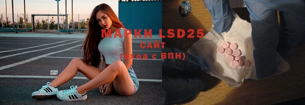 твердый Магас