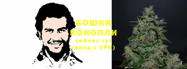 твердый Магас