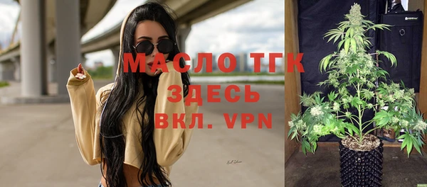 твердый Магас