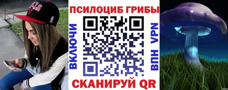 Галлюциногенные грибы Magic Shrooms  купить   Химки 